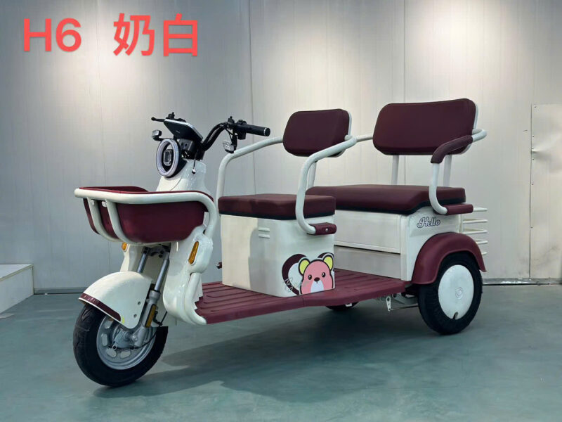 Sxlong H6