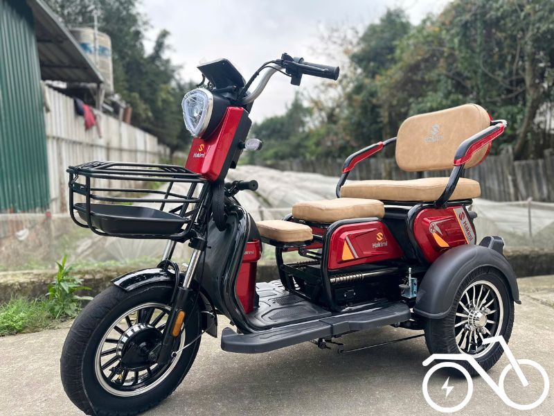 kiểm định xe điện Hakimi kiểm định xe điện Hakimi