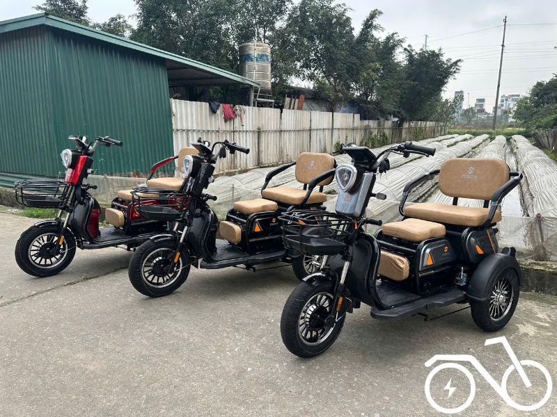 kiểm định xe điện Hakimi kiểm định xe điện Hakimi