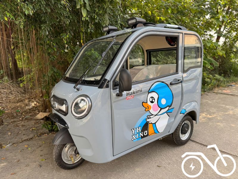 xe 3 bánh người già người khuyết tật xe 3 bánh người già người khuyết tật