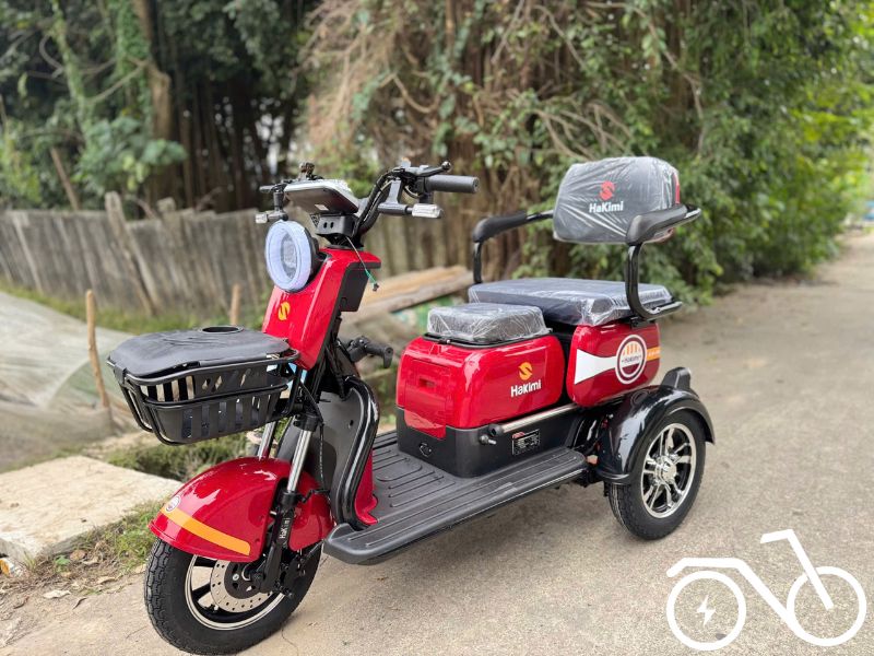 xe 3 bánh người già người khuyết tật xe 3 bánh người già người khuyết tật