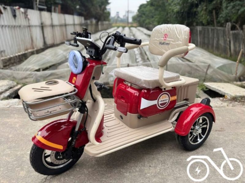 xe ba bánh cho người già