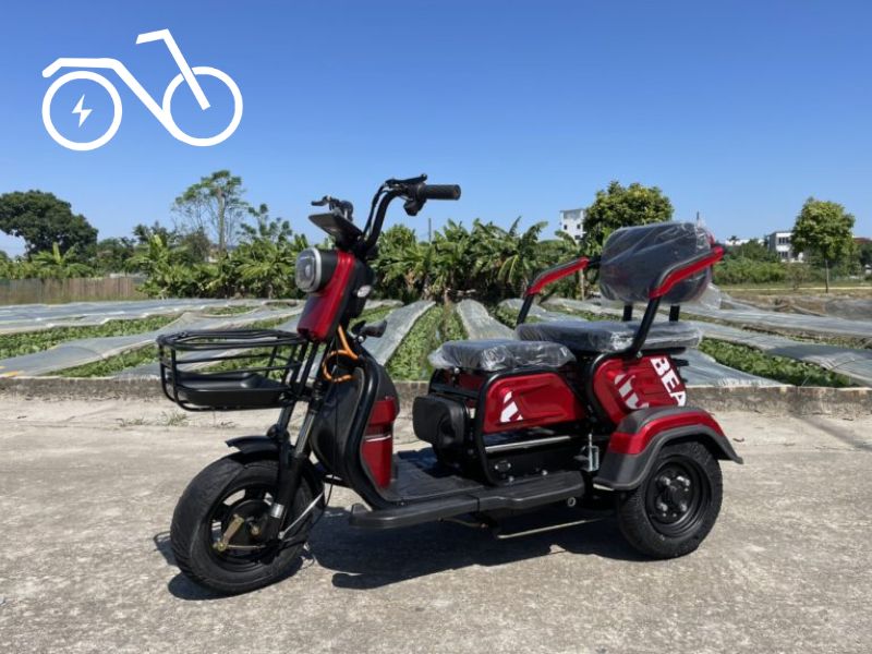 xe ba bánh cho người già