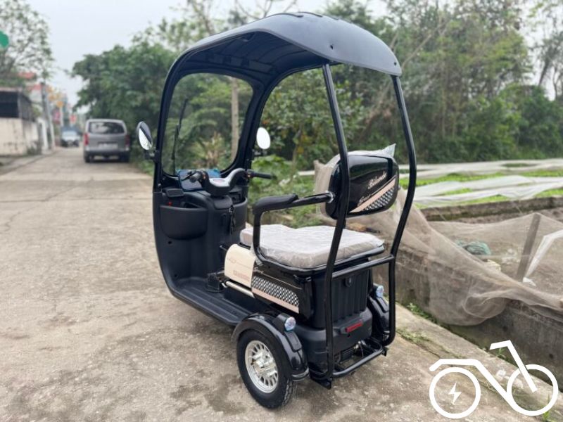 chọn mua xe điện 3 bánh